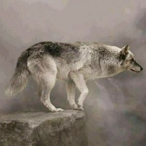 Meet your Posher, Pamela